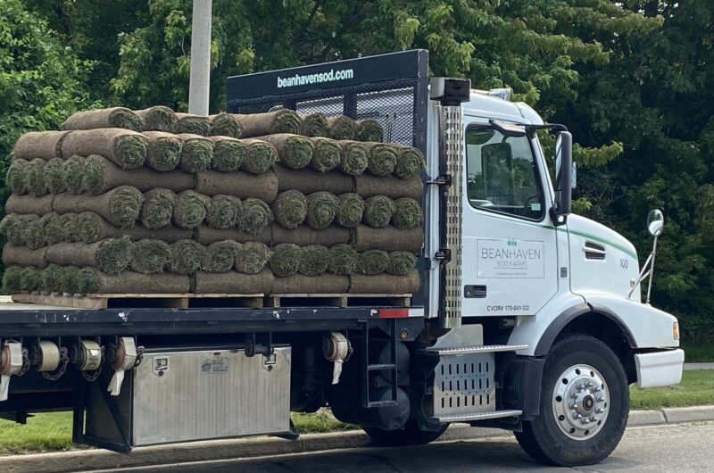beanhavenflatbed