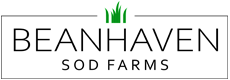 Beanhaven Logo