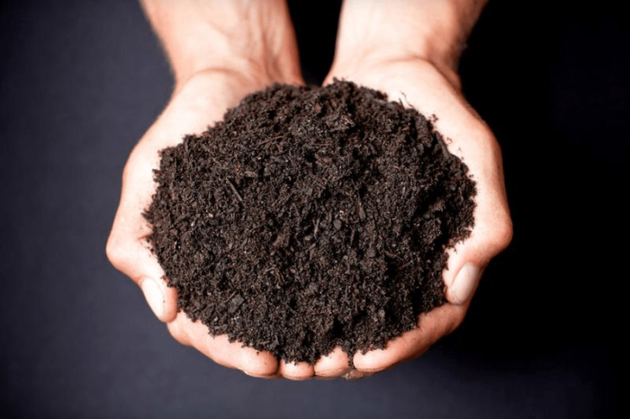 Garden Soil